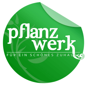 Pflanzwerk logo link