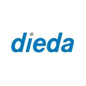 Dieda logo link